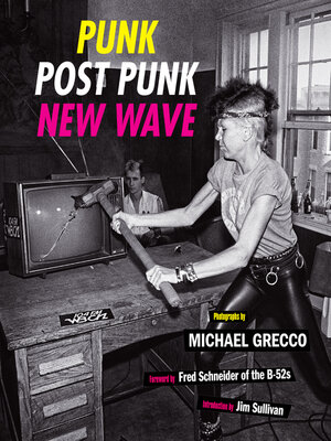 cover image of Punk, Post Punk, New Wave